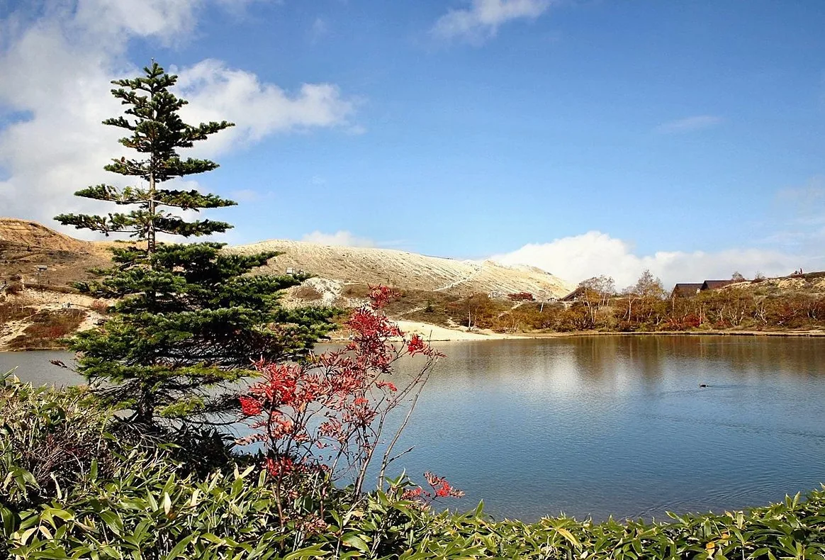 Small mountain lake with a lone pine tree and red autumn leaves under a blue sky
